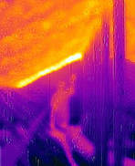 Thermal Imaging Orlando FL