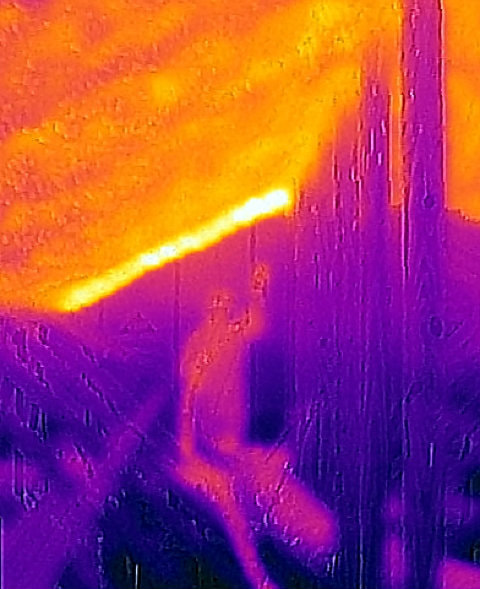 Thermal Imaging Orlando FL 